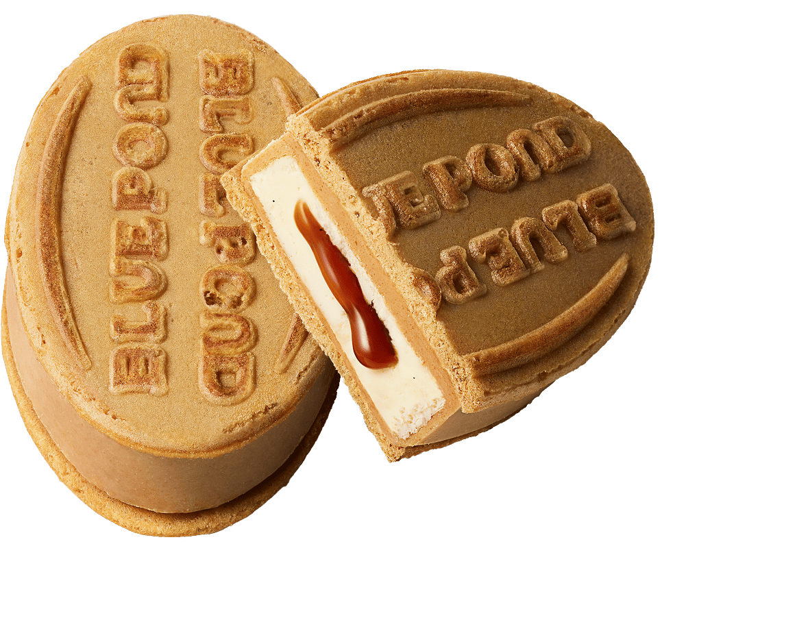 ブルーポンド公式ビジュアル