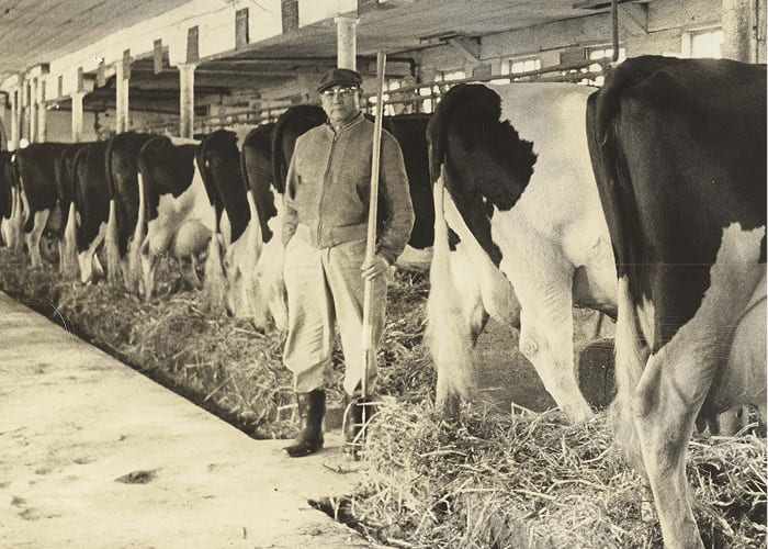 町村農場イメージ写真